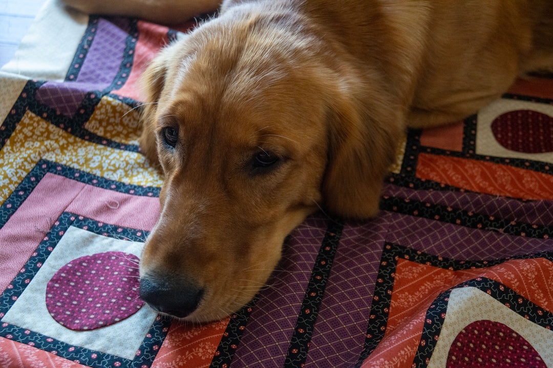 Frank's Cabin Quilt Pattern - printed