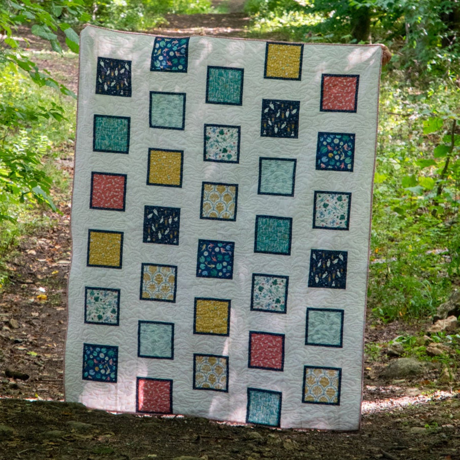 Peter's Pictures Beginner Quilt Pattern