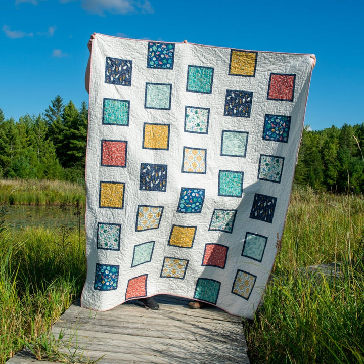 Peter's Pictures Beginner Quilt Pattern